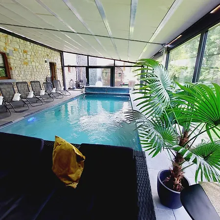 Vip Welkenraedt